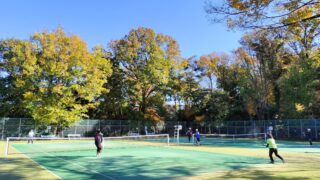 Enjoy tennis