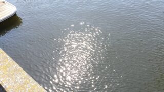 陽光が眩しい一日でした！