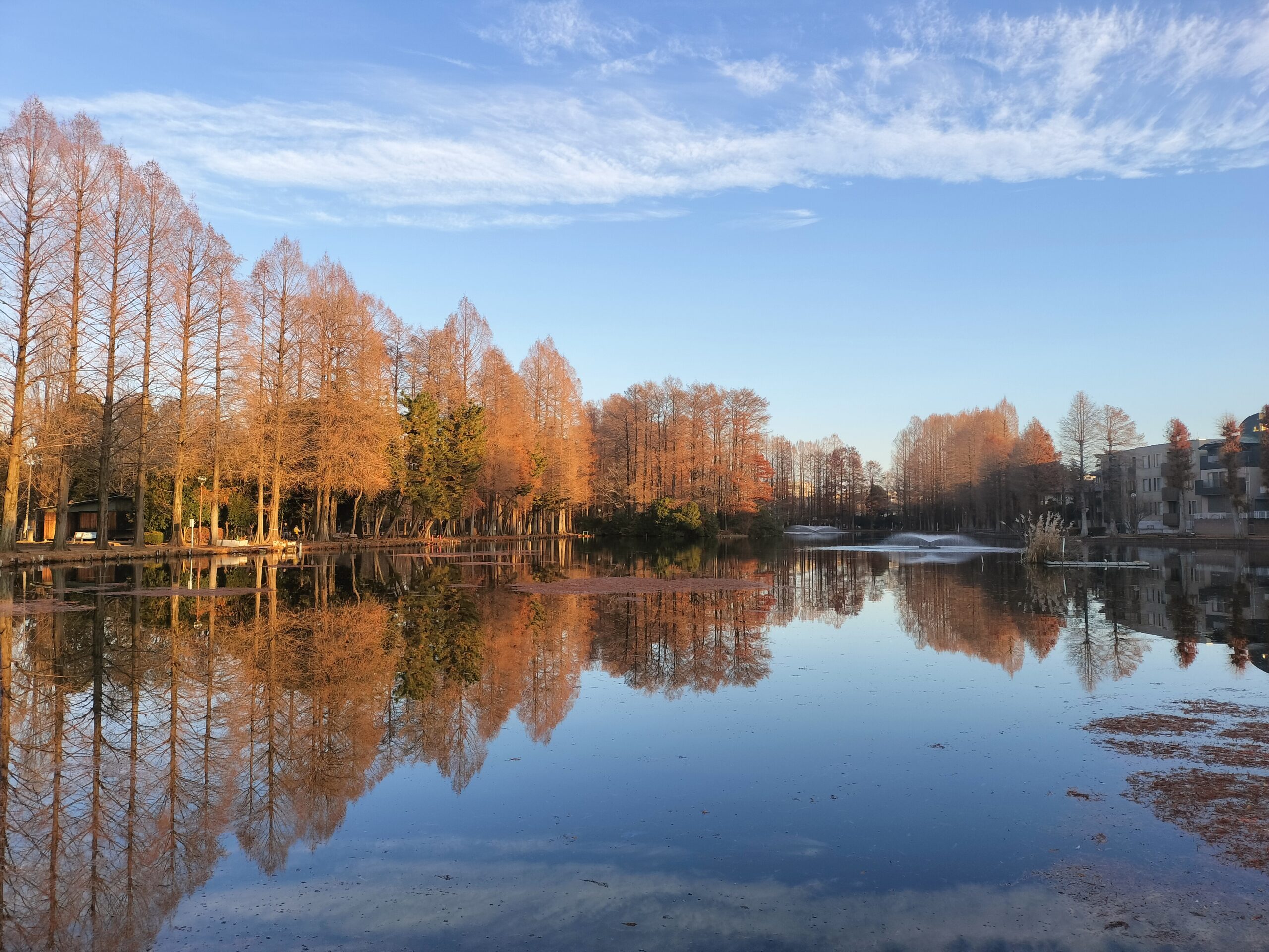 今年最後の風景です!