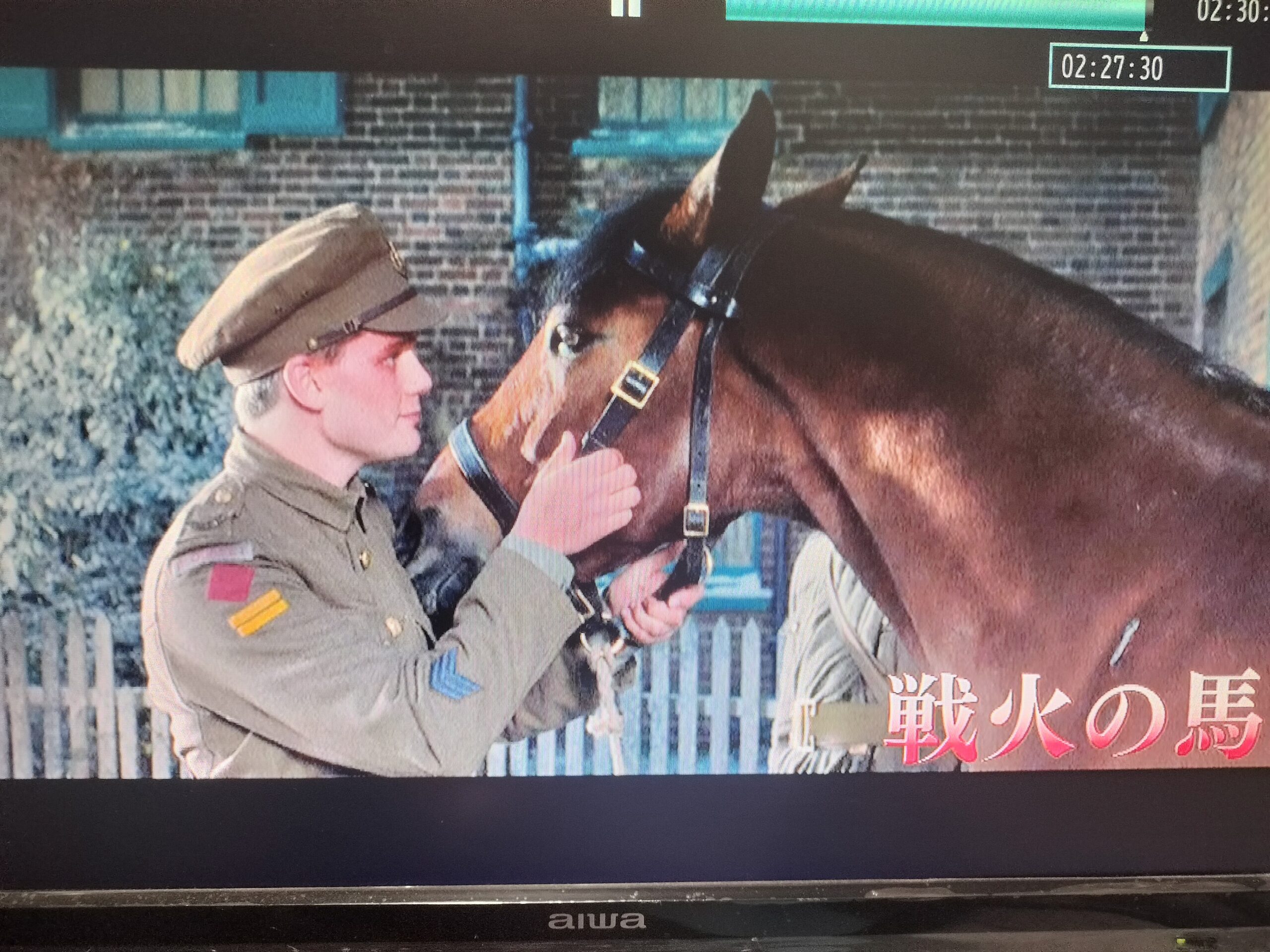 この映画も良かった！　”WAR HORSE”